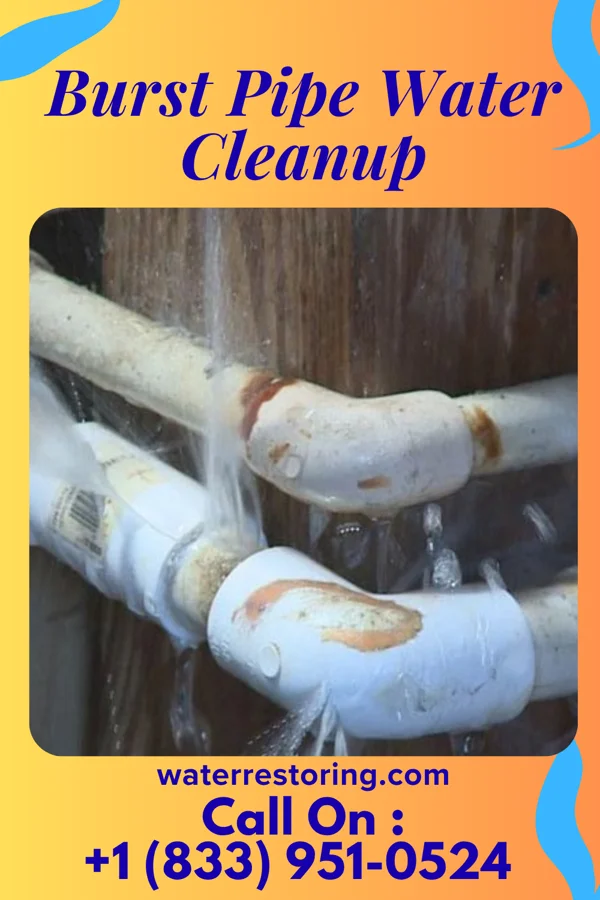 Burst Pipe Water Cleanup in Linn, MO