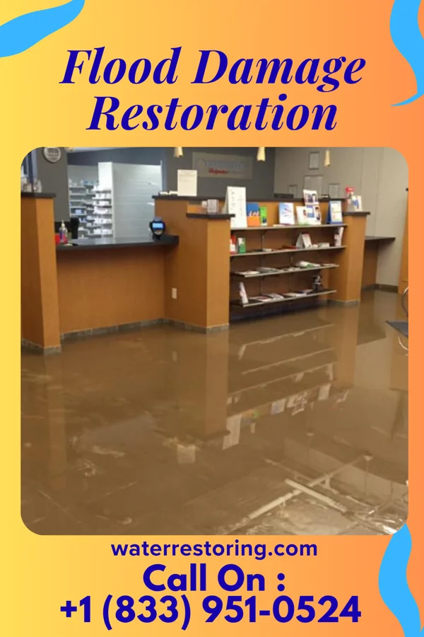 Flood Damage Restoration in Linn, MO