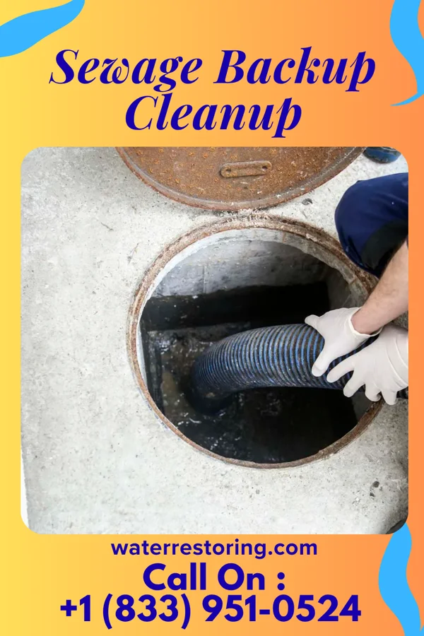 Sewage Backup Cleanup in Linn, MO